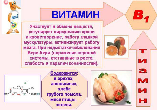 Продукты содержащие витамин B1