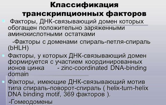 ДНК-связывающий домен