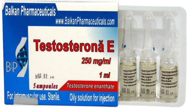 Тестостерона энантат